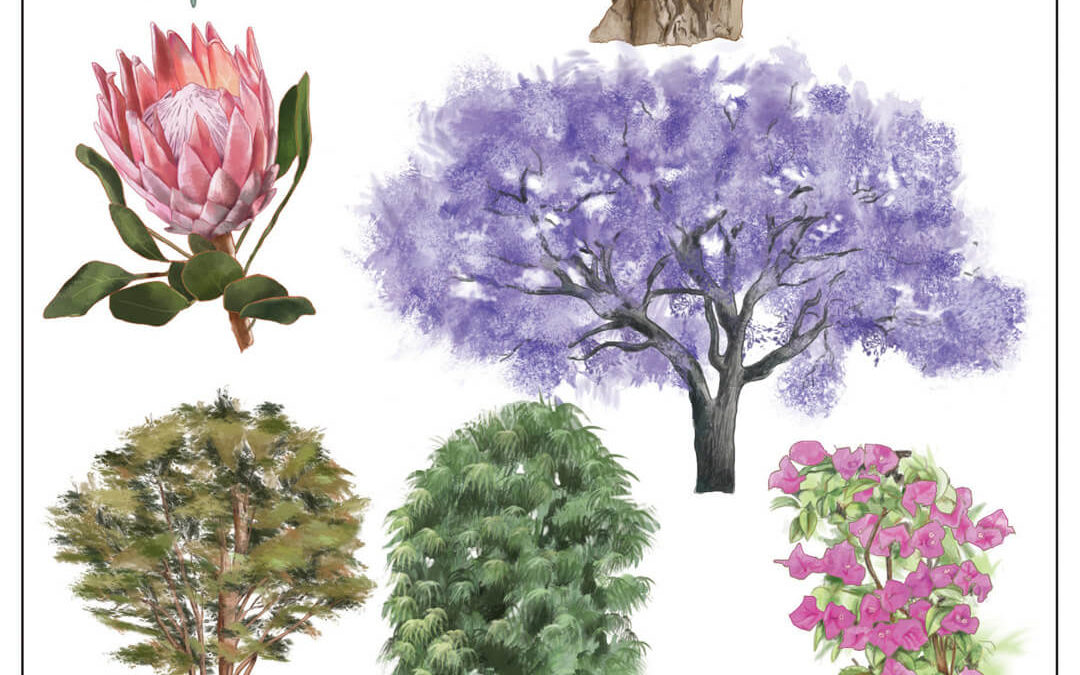 Educational,Tree Plant Composite, digital