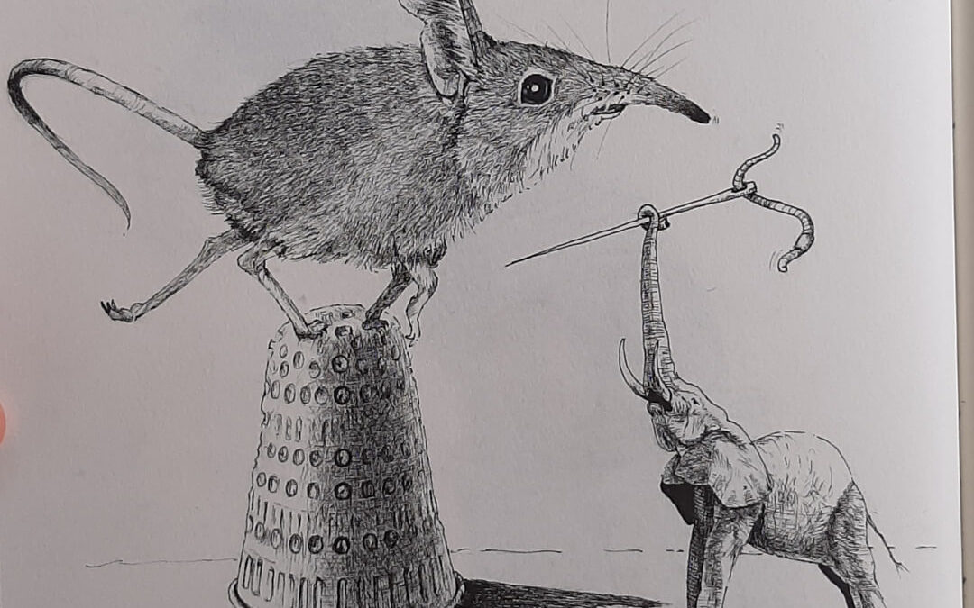 Elephant (the taming of the elephant shrew), pen and ink