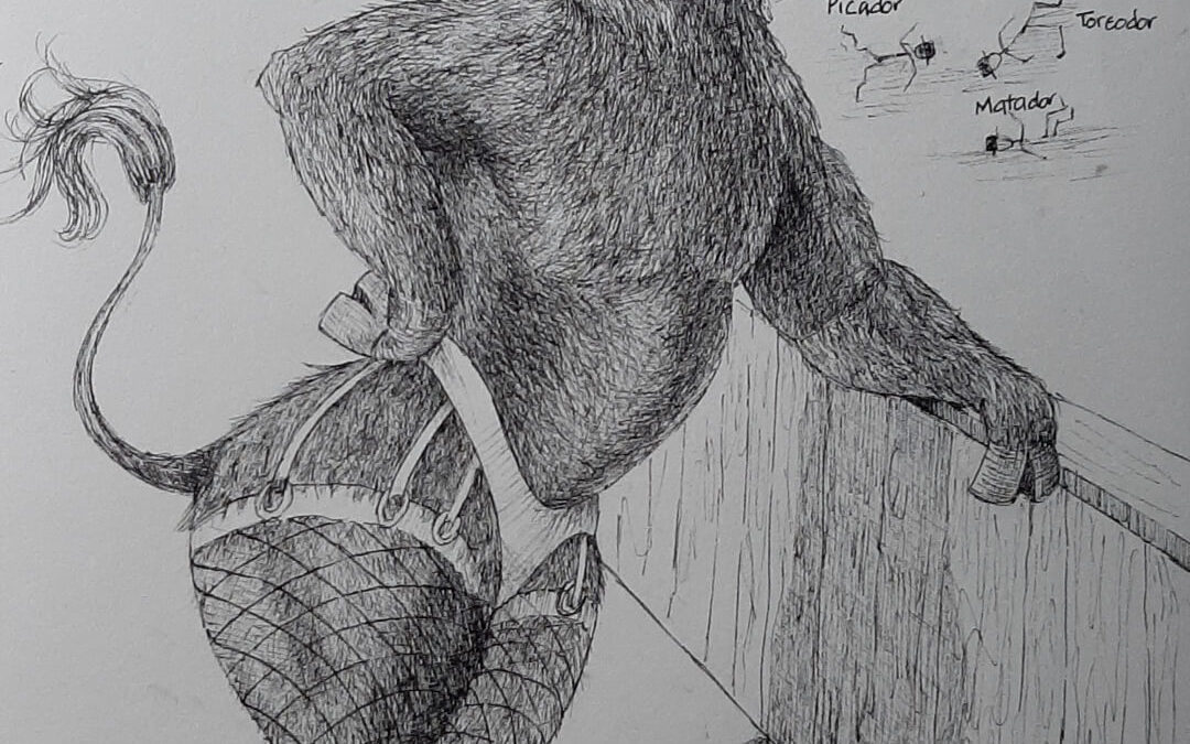 Red Rag to a Bull, pen and ink