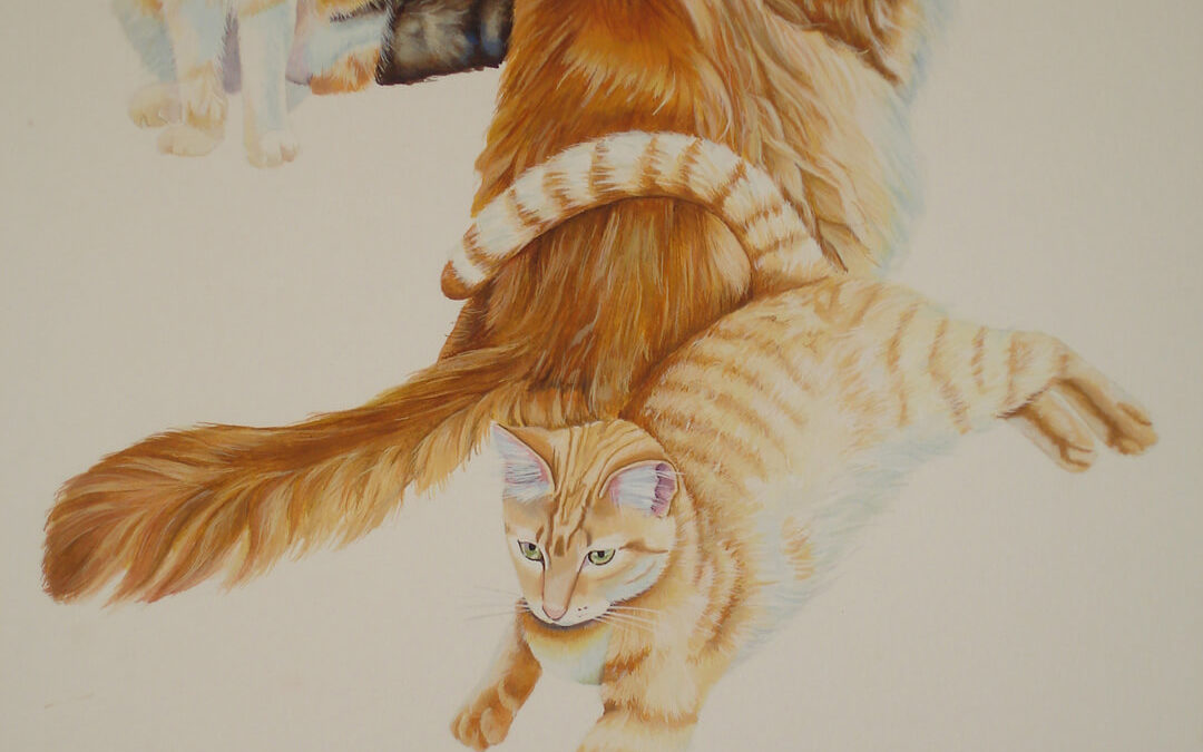 pet cats, gouache