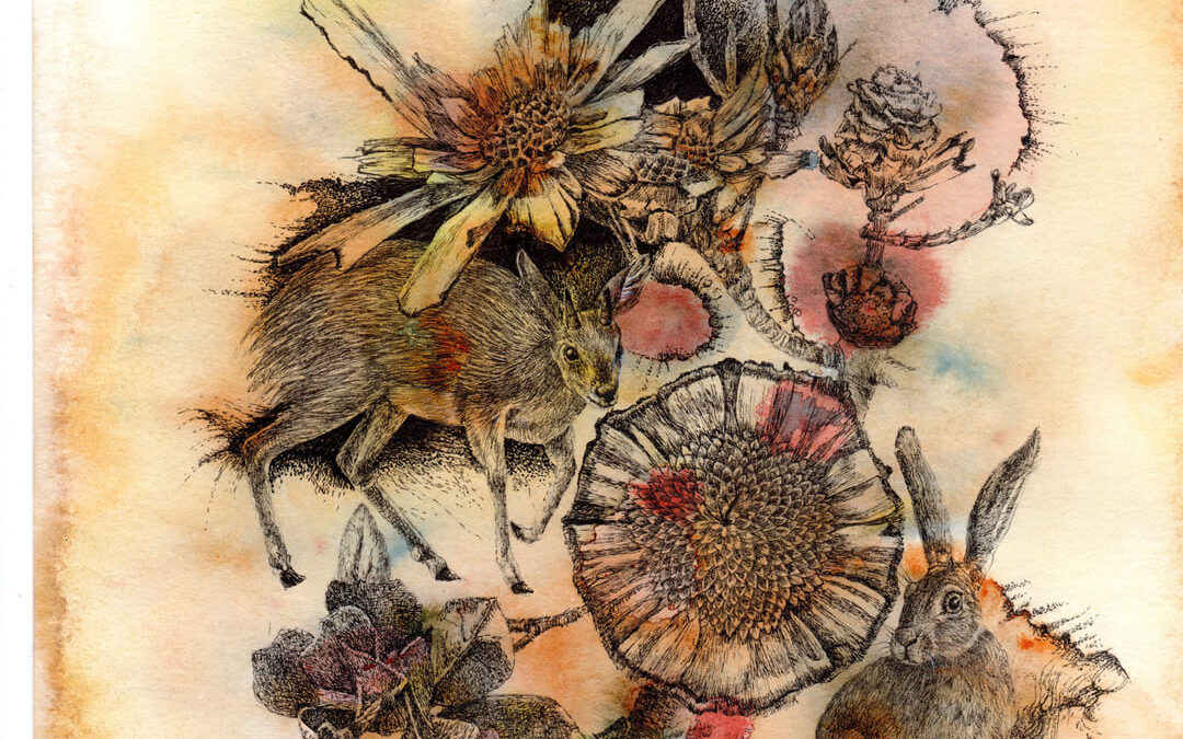 Fynbos Fantasy After the Burn, acrylic inks with pen and ink